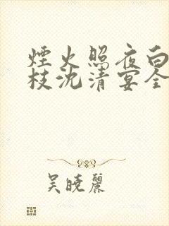 烟火照夜白温南枝沈清宴全文在线阅读