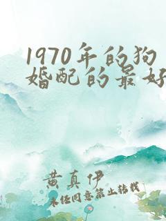 1970年的狗婚配的最好属相
