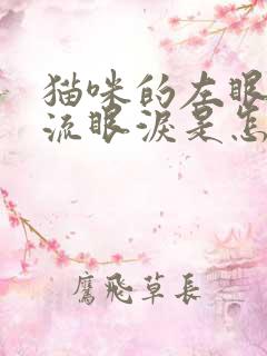 猫咪的左眼一直流眼泪是怎么了