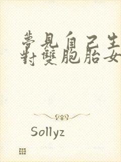 梦见自己生了一对双胞胎女儿