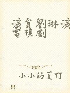 演员刘琳演过的电视剧