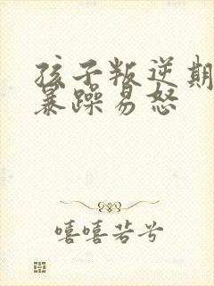 孩子叛逆期脾气暴躁易怒