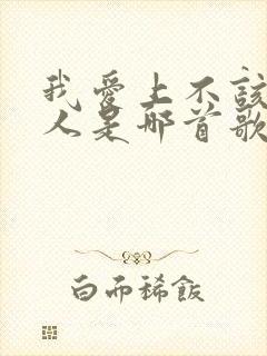 我爱上不该爱的人是哪首歌的歌词