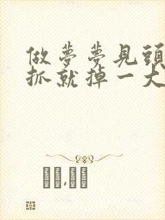 做梦梦见头发一抓就掉一大把