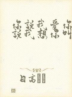 你说我爱你,你说我想你叫什么歌?