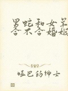 男蛇和女羊属相合不合婚姻