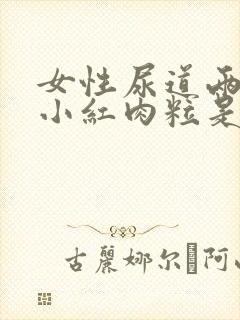 女性尿道两边有小红肉粒是什么症状