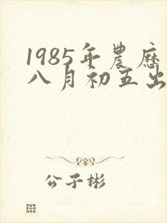 1985年农历八月初五出生的命运