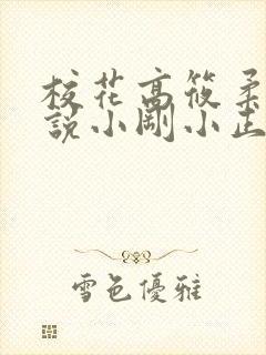 校花高筱柔的小说小刚小正催眠