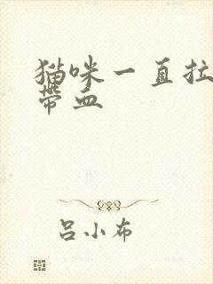 猫咪一直拉尿还带血