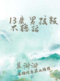 13岁男孩叛逆不听话