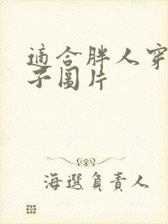 适合胖人穿的裙子图片