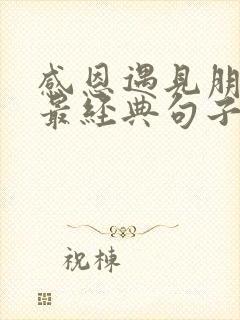 感恩遇见朋友的最经典句子