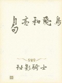 月亮和飞鸟的诗句