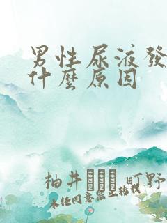 男性尿液发黄是什么原因