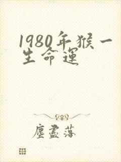 1980年猴一生命运