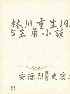 林川重生1985主角小说