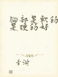 胸部是软的好还是硬的好