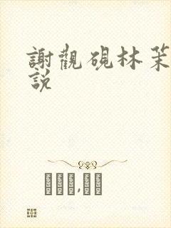 谢观砚林茉的小说