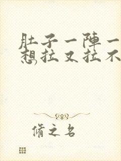 肚子一阵一阵痛想拉又拉不出来什么原因