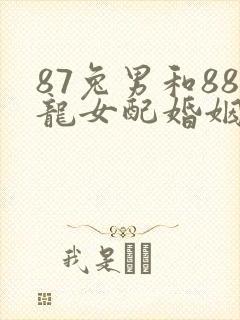 87兔男和88龙女配婚姻好不好