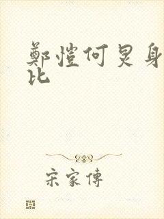 郑恺何炅身高对比