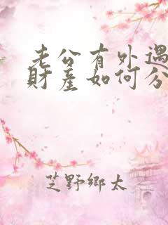 老公有外遇离婚财产如何分