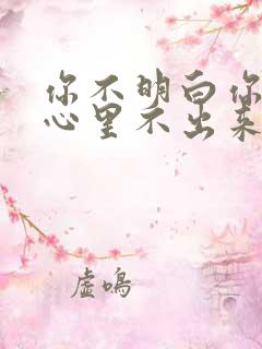 你不明白你在我心里不出来是什么歌