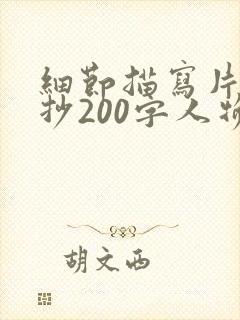 细节描写片段摘抄200字人物