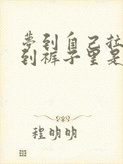 梦到自己拉屎拉到裤子里是什么预兆