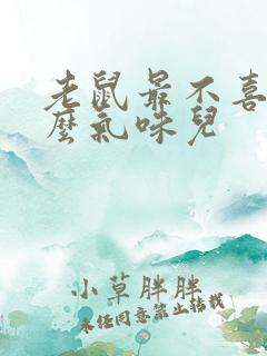 老鼠最不喜欢什么气味儿