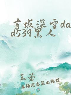 有坂深雪dasd539黑人