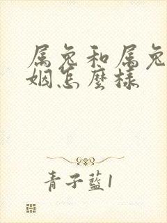 属兔和属兔的婚姻怎么样