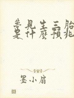 梦见生三胎儿子是什么预兆