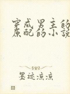 穿成男主的短命原配的小说