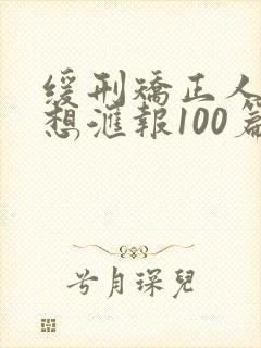 缓刑矫正人员思想汇报100篇