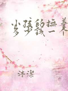 小孩的抚养费是多少钱一个月