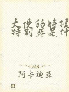 大便的时候肚子特别疼是什么原因