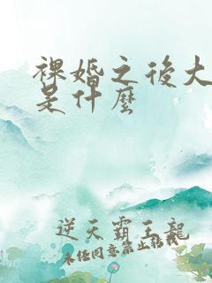 裸婚之后大结局是什么