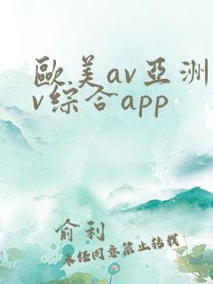 欧美av亚洲av综合app