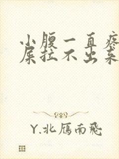 小腹一直疼想拉屎拉不出来