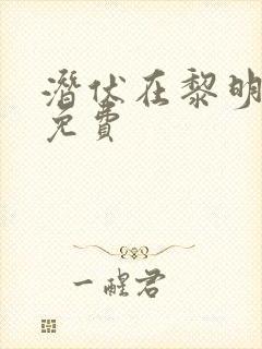 潜伏在黎明之前免费