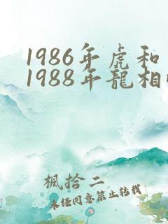 1986年虎和1988年龙相配吗