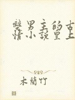 双男主的古代言情小说皇上和摄政王