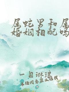 属蛇男和属兔女婚姻相配吗