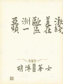 亚洲欧美激情视频一区在线播放