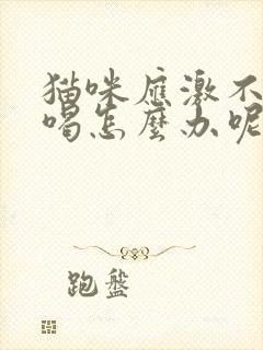 猫咪应激不吃不喝怎么办呢