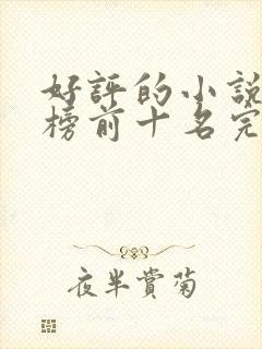 好评的小说排行榜前十名完结