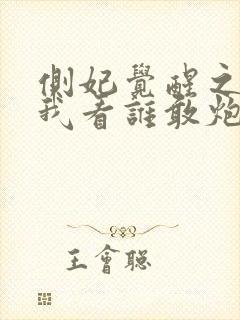 侧妃觉醒之后,我看谁敢炮灰我