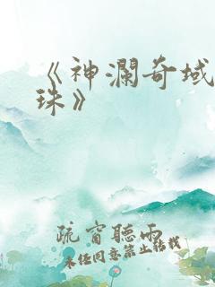 《神澜奇域无双珠》